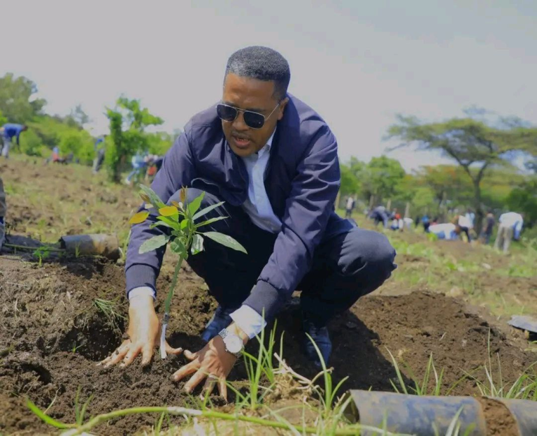 Green Legacy Initiative advancing Food Security and Sustainability