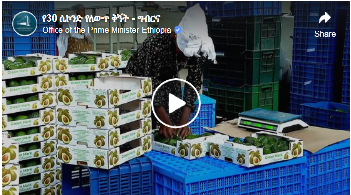 Modern farming practices are reshaping agriculture in Ethiopia