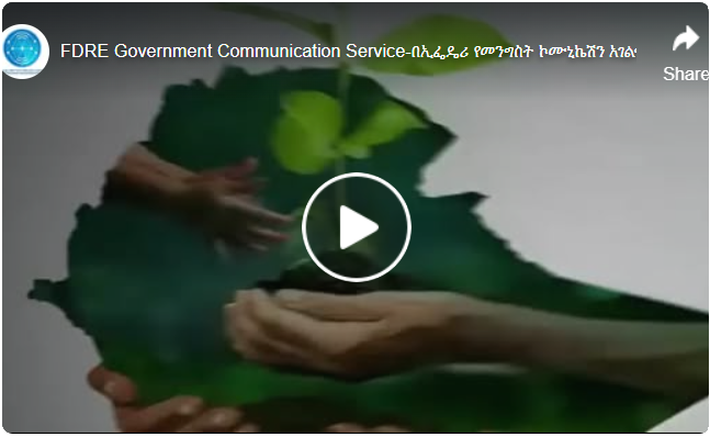 በ #አረንጓዴዓሻራ መርሃ ግብር አማካኝነት በመላው ኢትዮጵያ የሚገኙ ከተሞች በመታደስ ላይ ፤