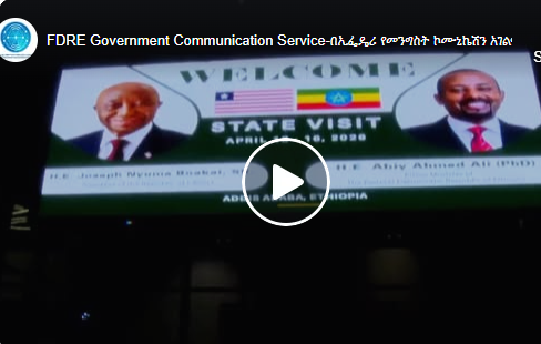 Screenshot 2026-04-13 232639