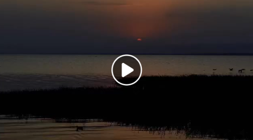 Screenshot 2026-04-25 222926