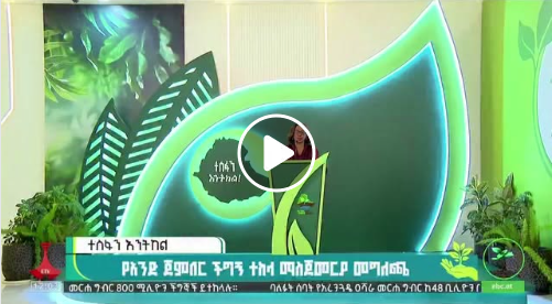 በአንድ ጀምበር የ800 ሚሊዮን ችግኝ ተከላ – የመንግሥት ኮሙኒኬሽን አገልግሎት ሚኒስትር እናትዓለም መለሰ መልዕክት